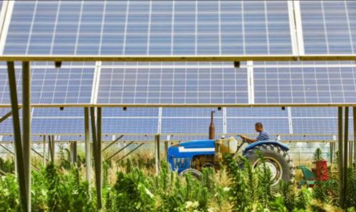 agrovoltaica-post-500x298